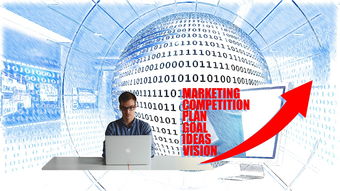 浙江金融专业专升本考试全解析，科目、备考策略与成功秘诀